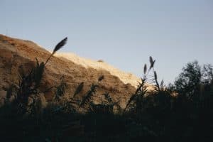 הר חול עם גדר ועשבים
